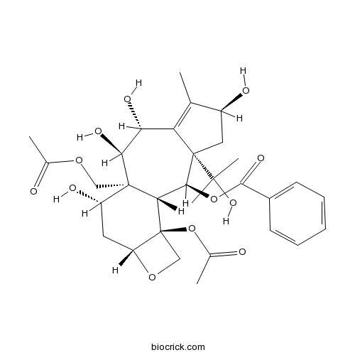 13-O-Deacetyltaxumairol Z