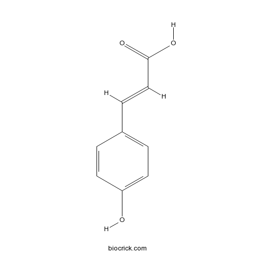 p‐ヒドロキシケイ皮酸
