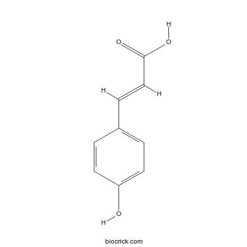 对羟基肉桂酸