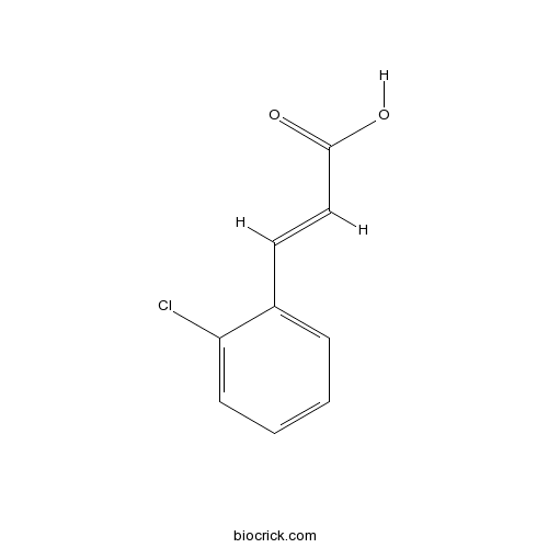 2-Chlorocinnamic acid