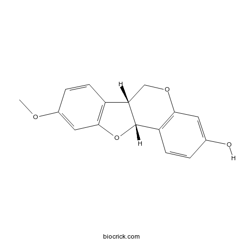 美迪紫檀素