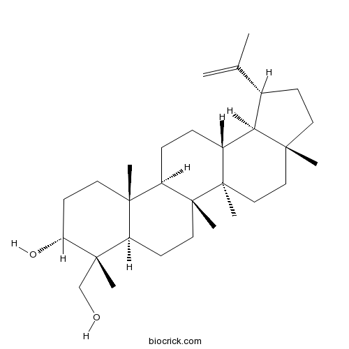 20(29)-Lupene-3,23-diol