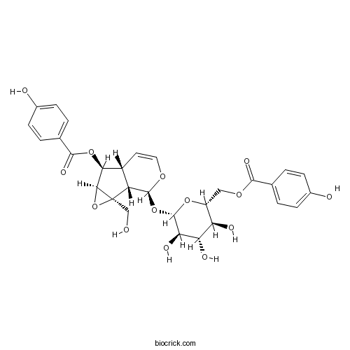 6'-O-p-Hydroxybenzoylcatalposide