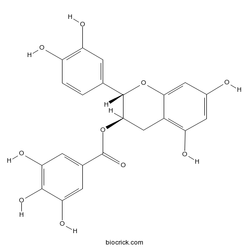 (-)-Catechin gallate(CG)