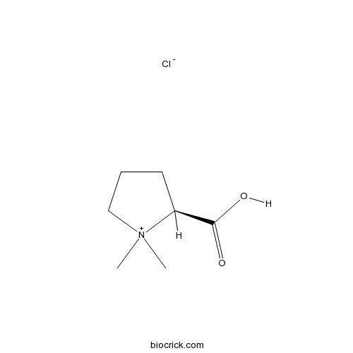 Stachydrine hydrochloride