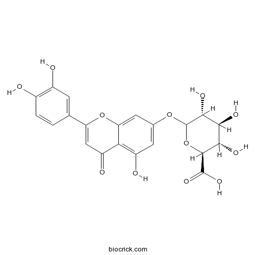 木犀草素-7-O-葡萄糖醛酸苷