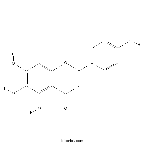 Scutellarein