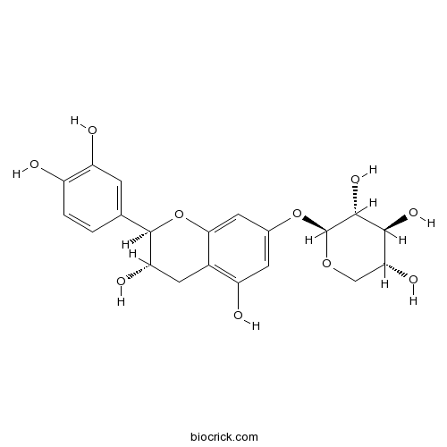 7-木糖苷儿茶酚； 儿茶素 7-木糖苷