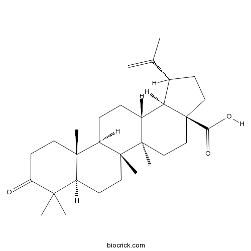 Betulonic acid