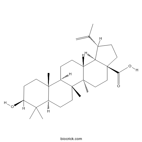 ベツリン酸