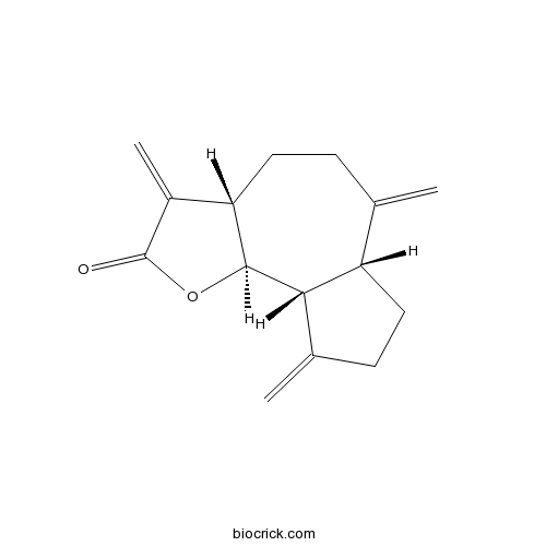 Dehydrocostus lactone