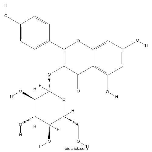 Astragalin