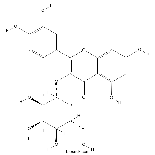 异槲皮苷；槲皮素-3-O-葡萄糖苷