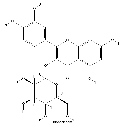 Isoquercitrin