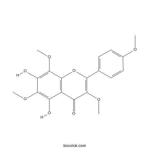 Araneosol