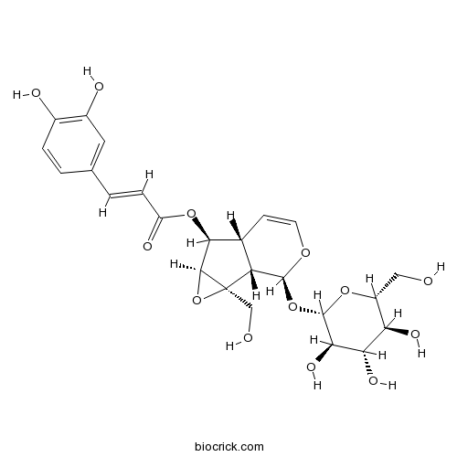 Verminoside