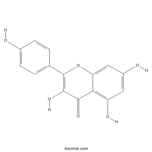 Kaempferol