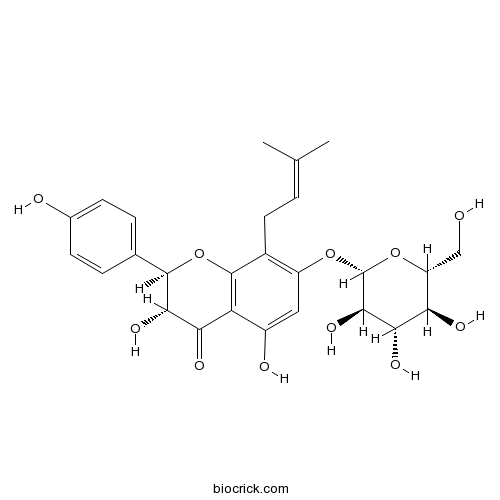 Phellamurin