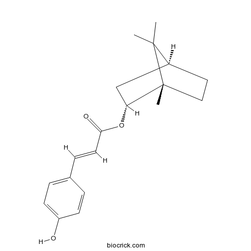 Biondinin C