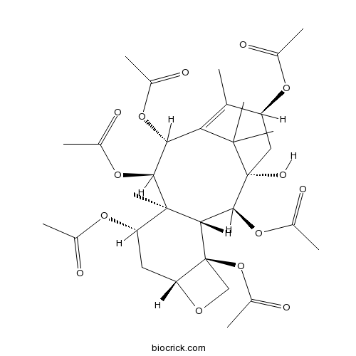 バッカチンIV