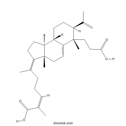 Kadsuracoccinic acid A