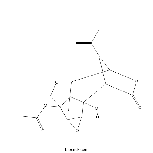 13-O-Acetylcorianin