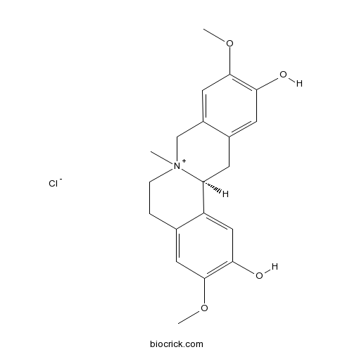 Phellodendrine chloride