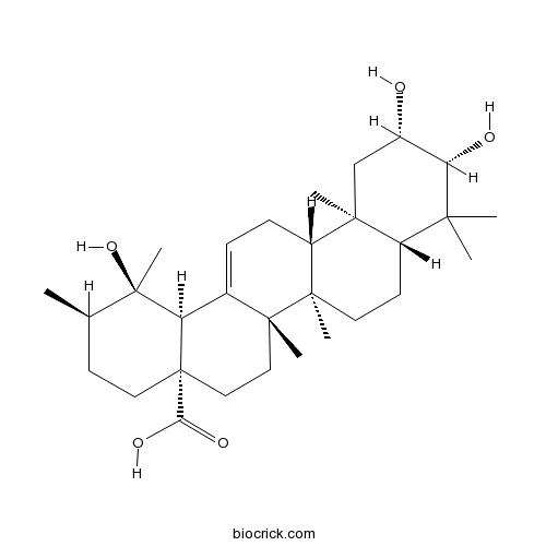 2-Epitormentic acid