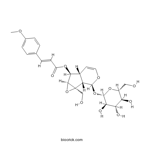 6-O-p-Methoxycinnamoylcatalpol