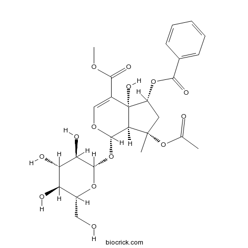 6-O-Benzoylphlorigidoside B