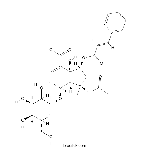 6-O-trans-シンナモイルフロリギドシドB