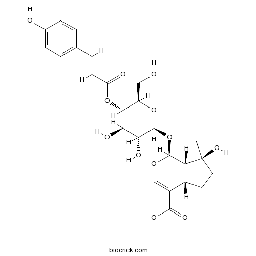 4'-O-trans-p-Coumaroylmussaenoside