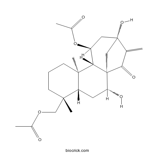 叶含乙酰瘿花香茶菜素B