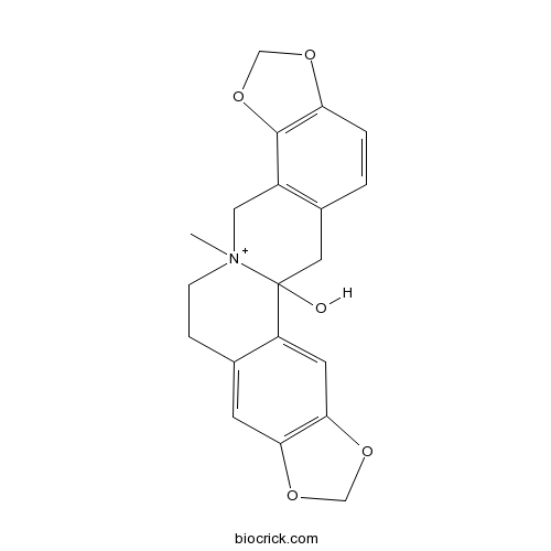 Hydroprotopine