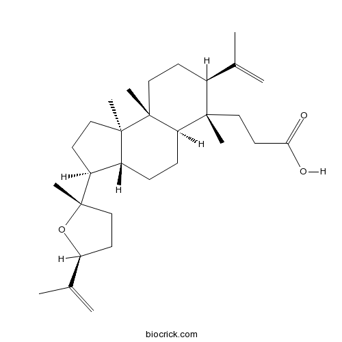 Richenoic acid