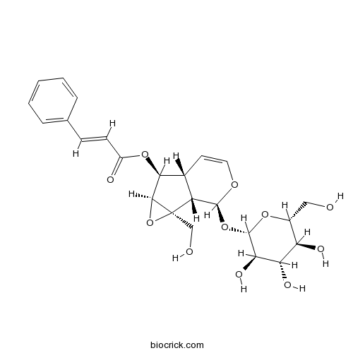 6-O-肉桂酰梓醇