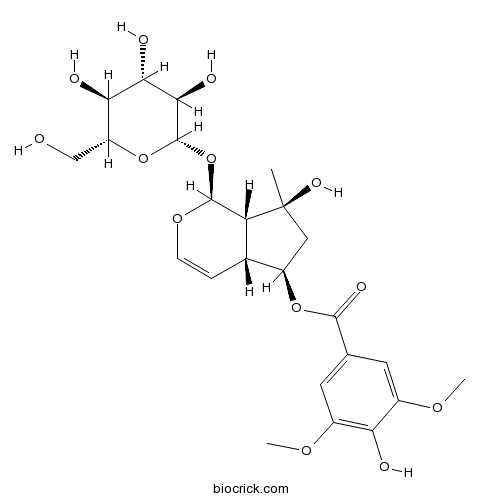 6-O-丁香酰筋骨草醇
