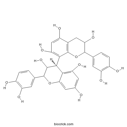 プロシアニジンB2