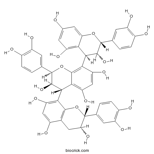 Procyanidin C1