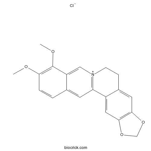 盐酸黄连素； 盐酸小檗碱