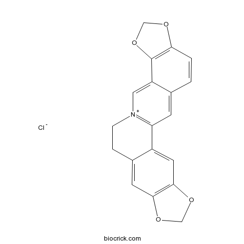 Coptisine chloride