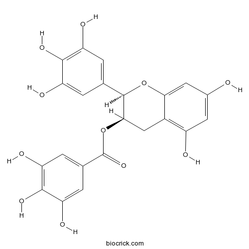 (-)-Epigallocatechin gallate