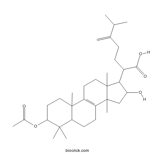 茯苓酸； 茯灵酸