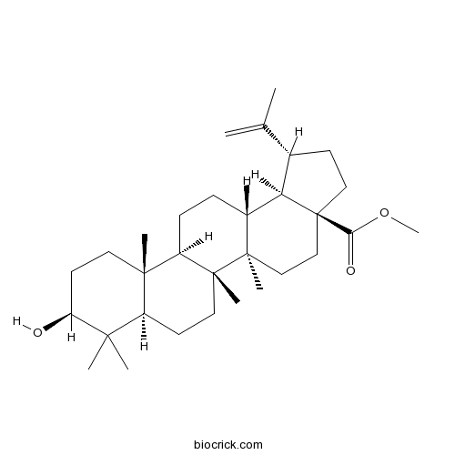 Betulinic acid methyl ester
