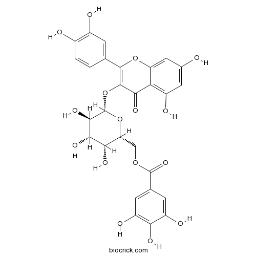 槲皮素3-O-(6''-没食子酰基)-β-D-半乳糖苷