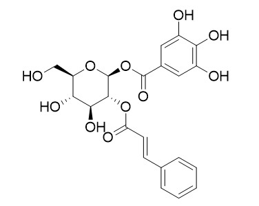 2-肉桂酰-1-没食子酰葡萄糖