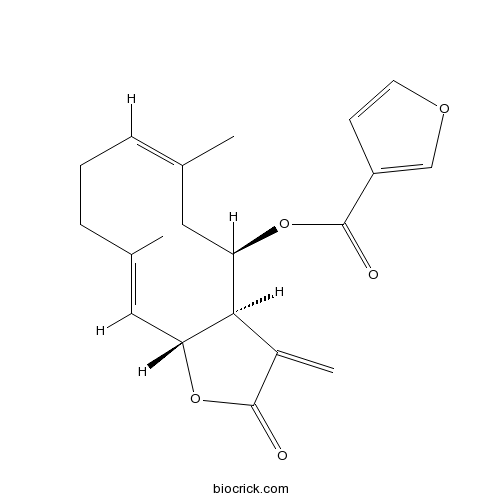 Beta-Furoyleupatolide