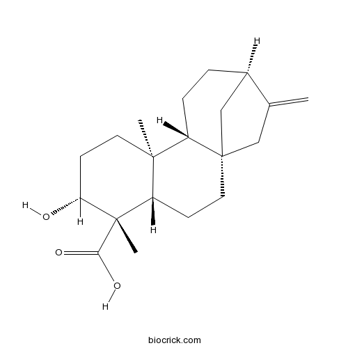 ent-3beta-Hydroxykaur-16-en-19-oic acid