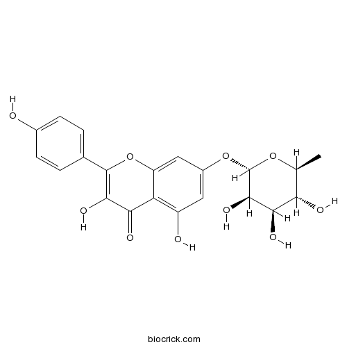 山柰酚-7-O-鼠李糖苷