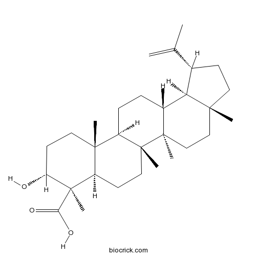 Lupeolic acid